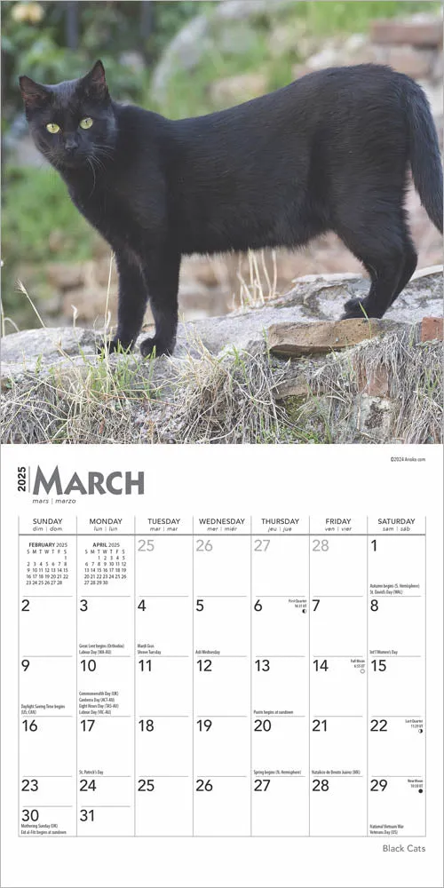 2025 Black Cats Mini Wall Calendar