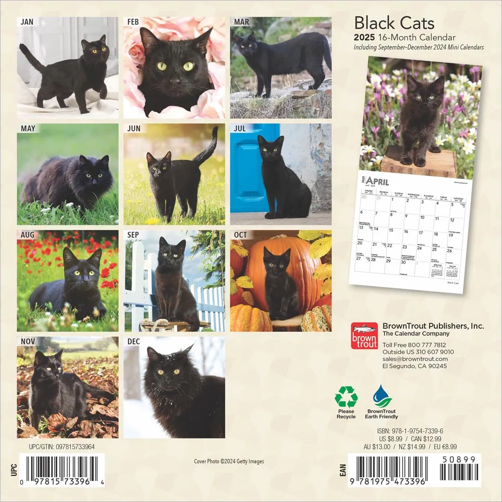 2025 Black Cats Mini Wall Calendar