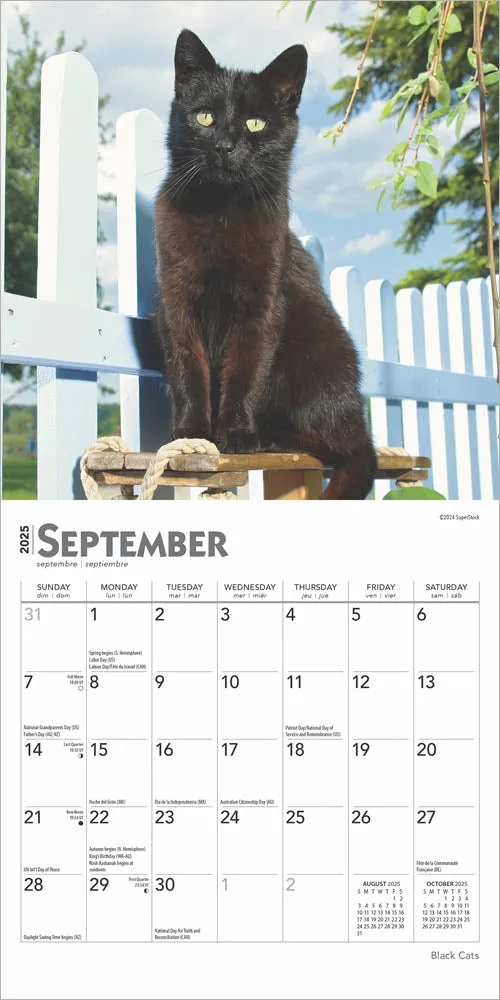 2025 Black Cats Mini Wall Calendar