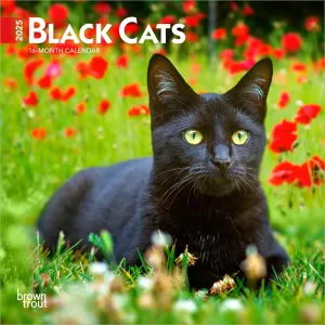 2025 Black Cats Mini Wall Calendar