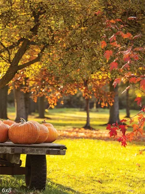 Autumn Harvest Fall Pumpkins Photography Backdrop