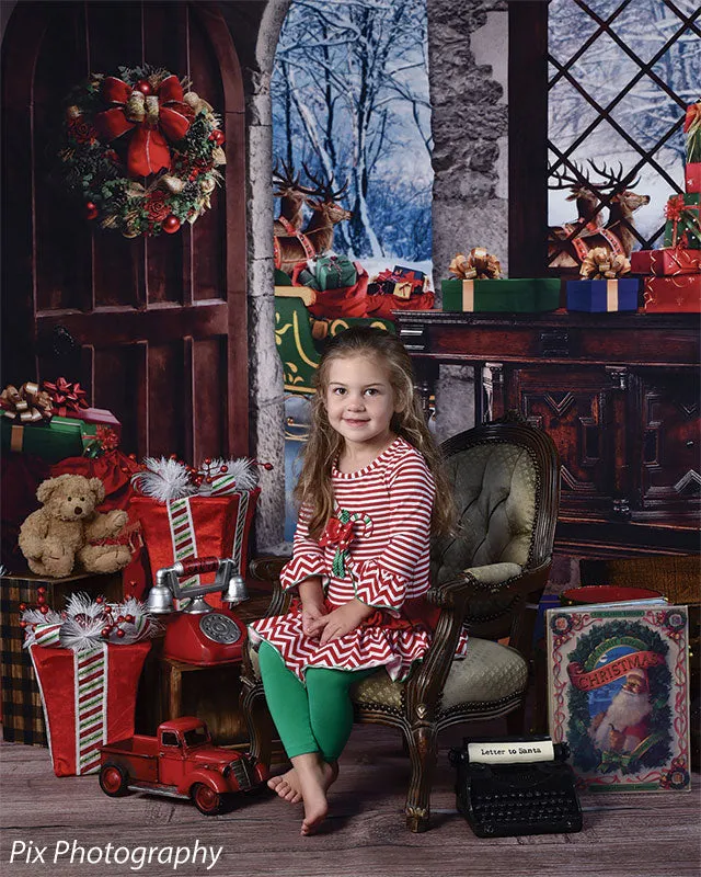 Christmas Sleigh Door Backdrop