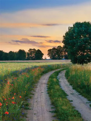 Country Road Printed Photography Backdrop