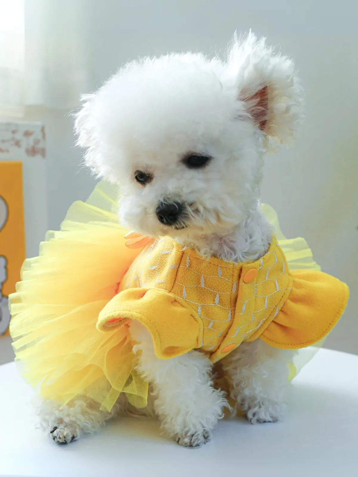 Dog  Princess Belle Inspired Tutu Halloween Costume