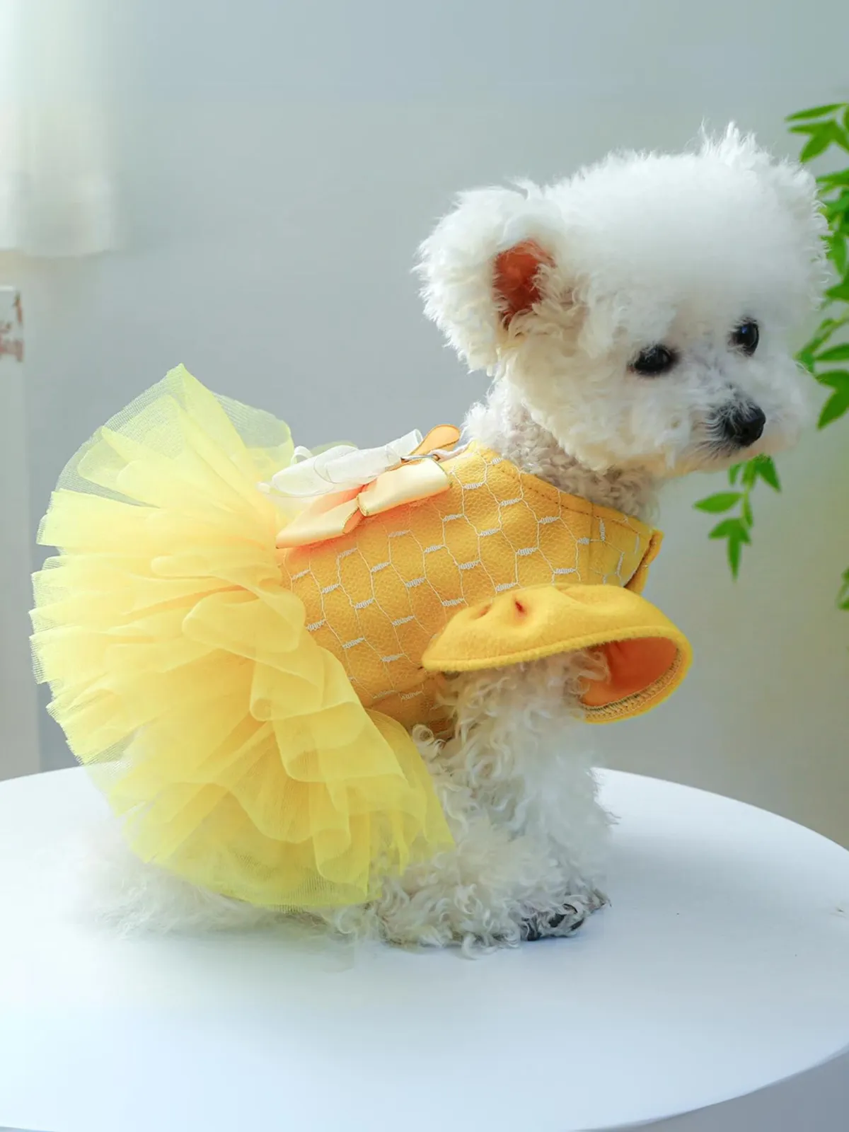 Dog  Princess Belle Inspired Tutu Halloween Costume