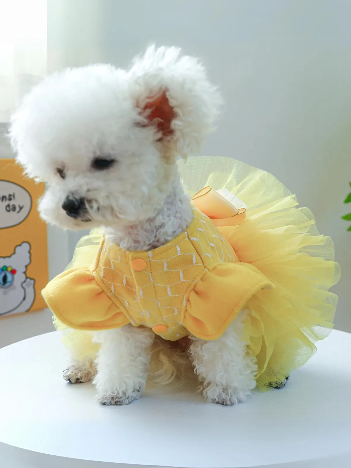 Dog  Princess Belle Inspired Tutu Halloween Costume