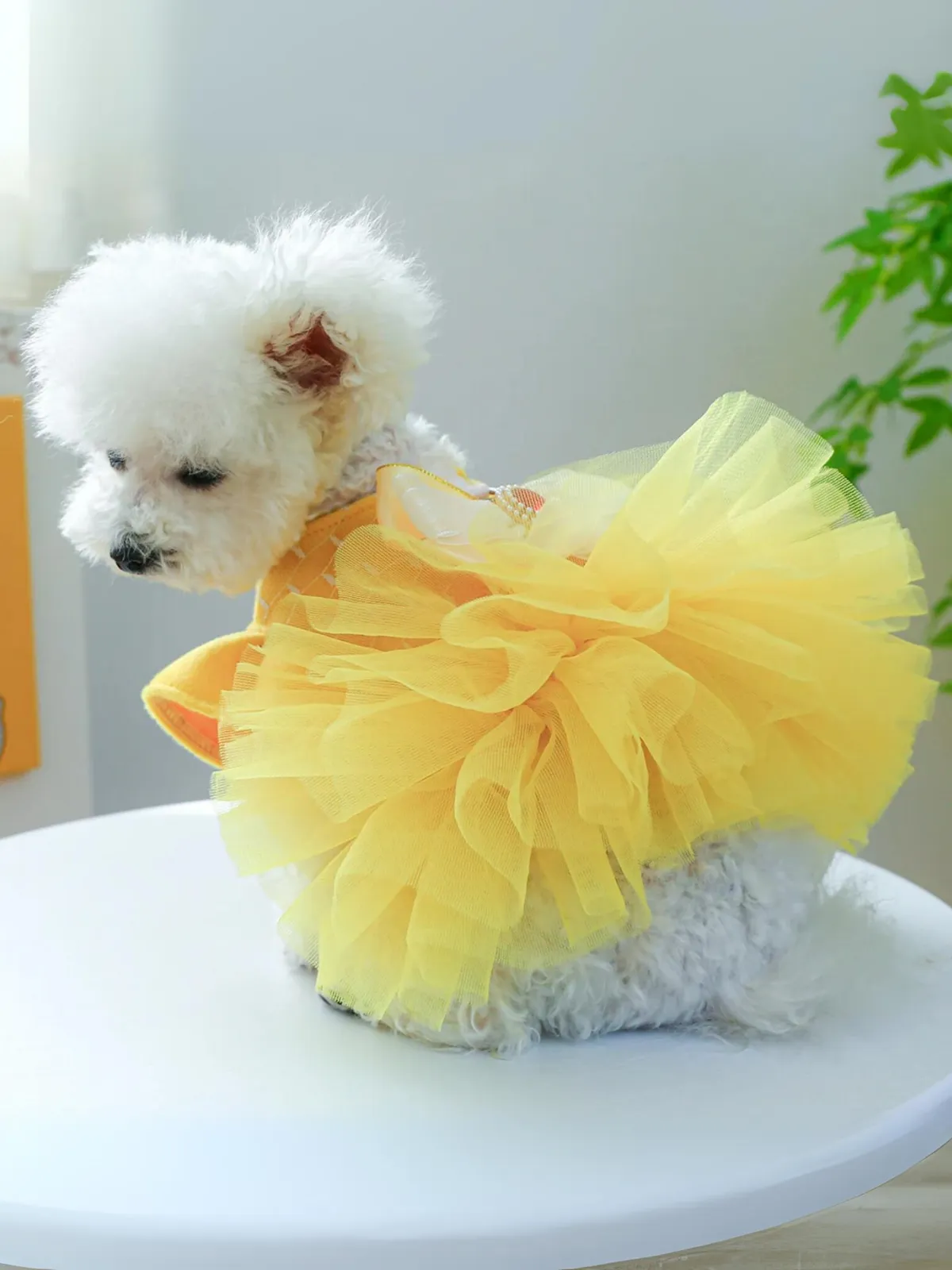 Dog  Princess Belle Inspired Tutu Halloween Costume