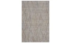 Elias Silver 8x10 Rug