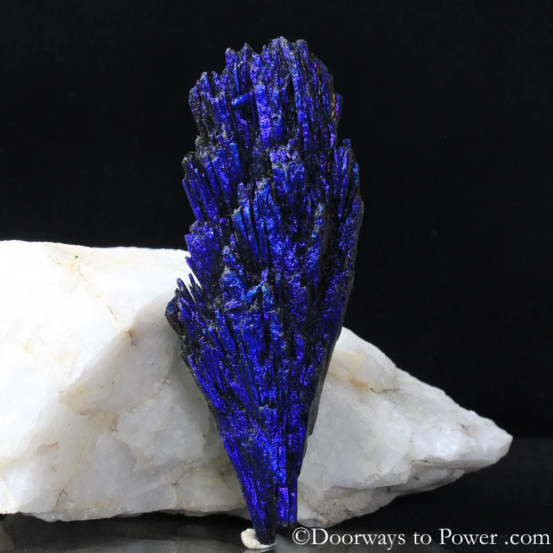 Magical Aqua Aura Black Kyanite Crystal A    