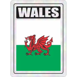 Wales Prismatic Hologram Car Decal Sticker